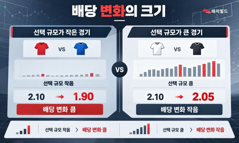선택 규모별 배당 변화 비교 이미지